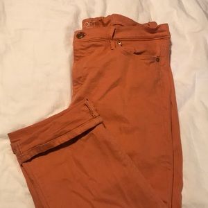 Loft modern crop pant